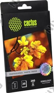   A6 Cactus CS-SGA626020 (10x15, 20 , 260 /2) 