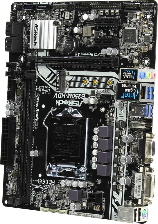    LGA1151 ASRock B250M-HDV (RTL) [B250] PCI-E Dsub+DVI+HDMI GbLANSATA MicroATX 2DDR4