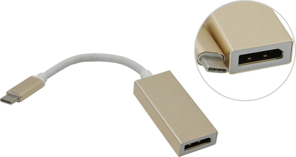  - USB-C - > DisplayPort (F) Telecom [TA422B]
