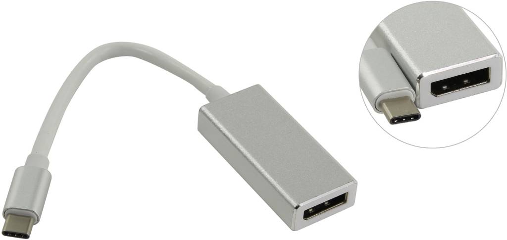  - USB-C - > DisplayPort (F)