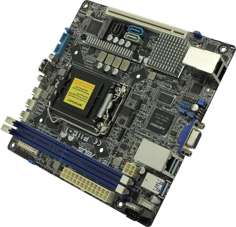    LGA1151 ASUS P11C-I (RTL) [C242] PCI-E+SVGA+2xGbLAN SATA RAID MiniITX 2DDR4