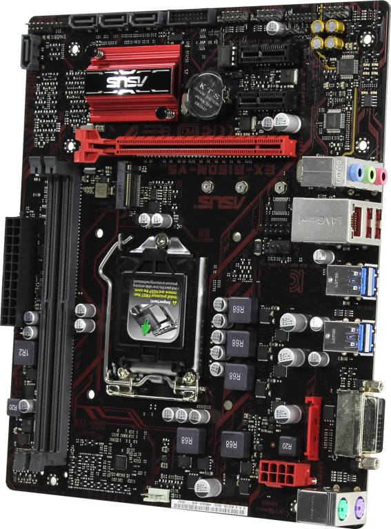    LGA1151 ASUS EX-B150M-V5/C/SI (OEM) [B150] PCI-E DVI GbLAN SATA MicroATX 2DDR4