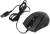   USB A4Tech V-Track Padless Mouse [N-810FX Black] (RTL) 5.( )