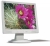   15 Acer AL1512M (LCD, 1024x768)