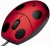   USB Logitech Ladybird Mouse Optical [M-UV55a] (RTL) 3.( ) [931266]