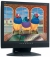  18.1 Viewsonic VG810B ThinEdge (LCD, 1280x1024, +DVI, TCO99)