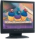   19 Viewsonic VG910B ThinEdge (LCD, 1280x1024, +DVI, TCO99)